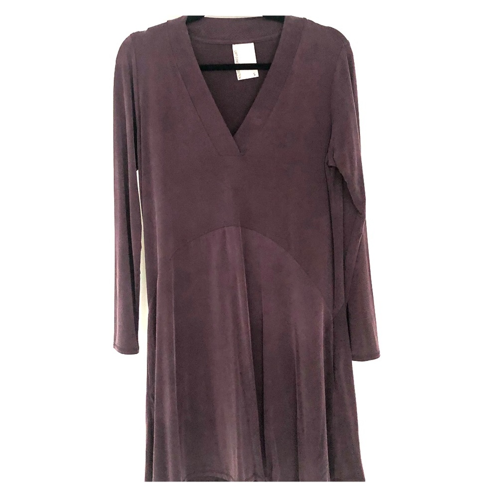 Dolan Size S Eggplant silk long sleeve shift dress